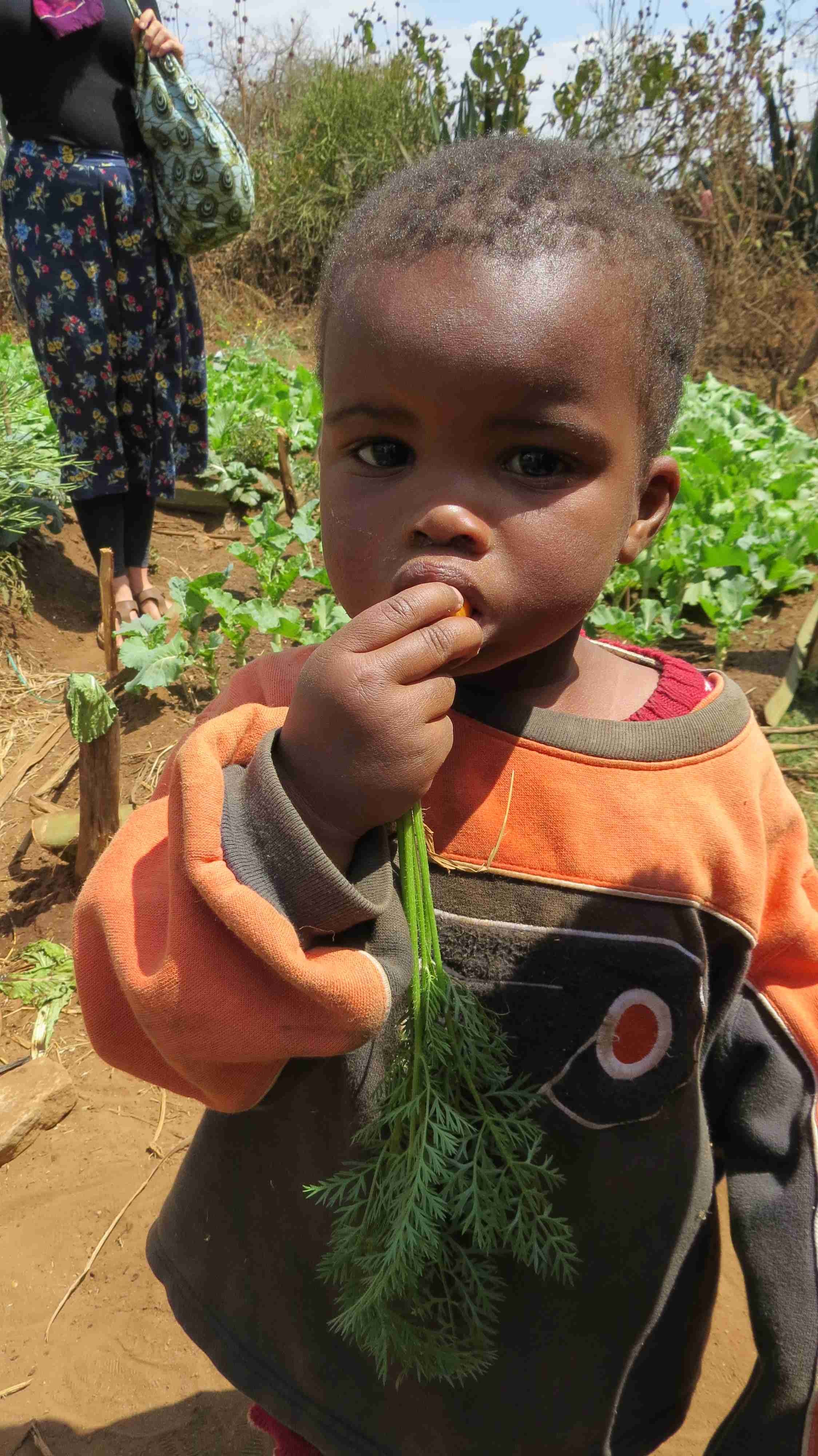 Photo of young boy eating a carrot.