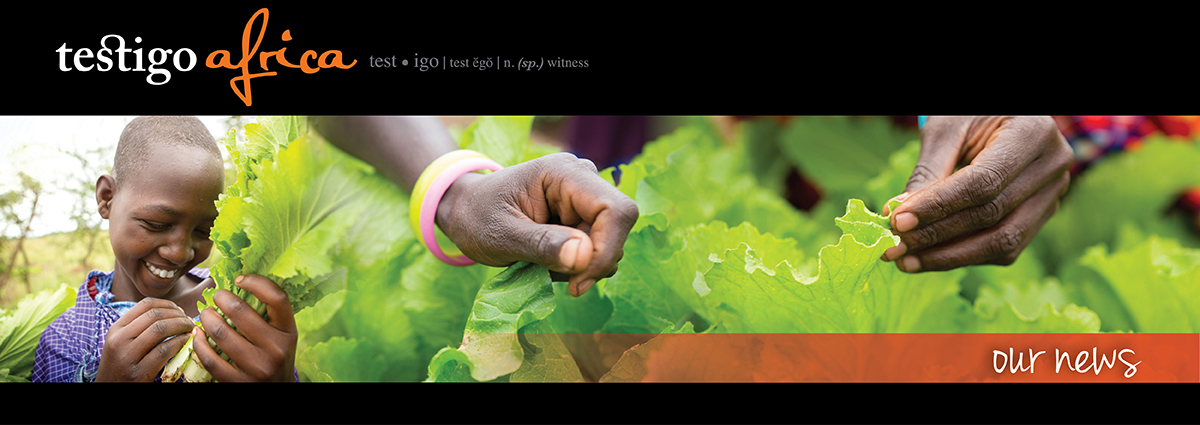 Page header image for page - Media - Our news - 23rd December 2024