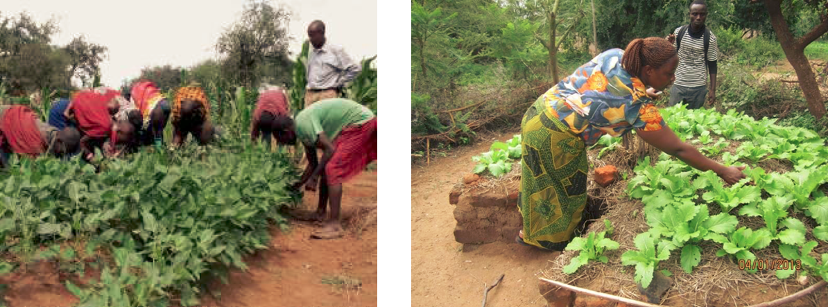 Picture of Masai working in the gardens
