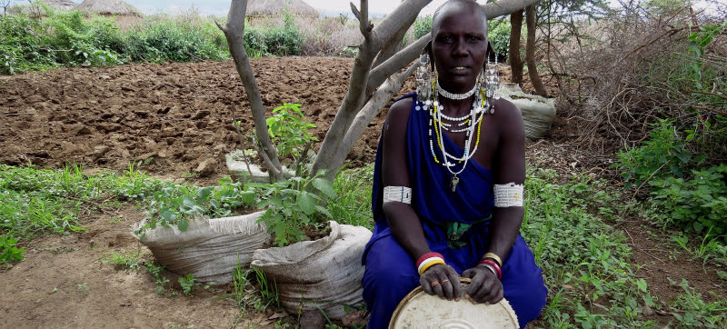 Picture of Nengipa Oloshiru