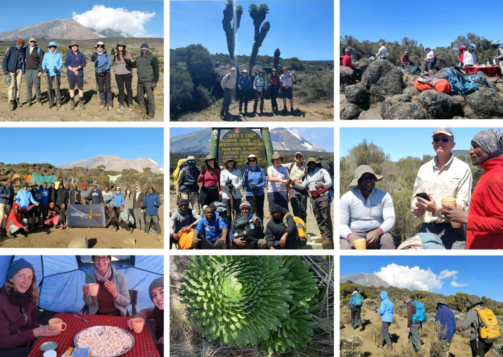 9 photos of Mt Kilimanjaro