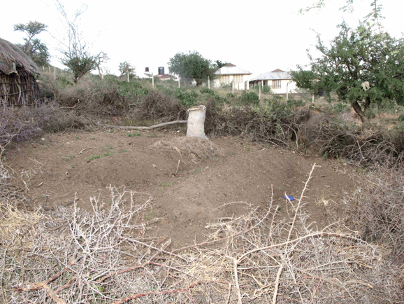 Nasha's plot (double dug beds and sack) ready for re-planting.