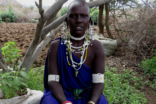 Image of Nengipa Oloshiru