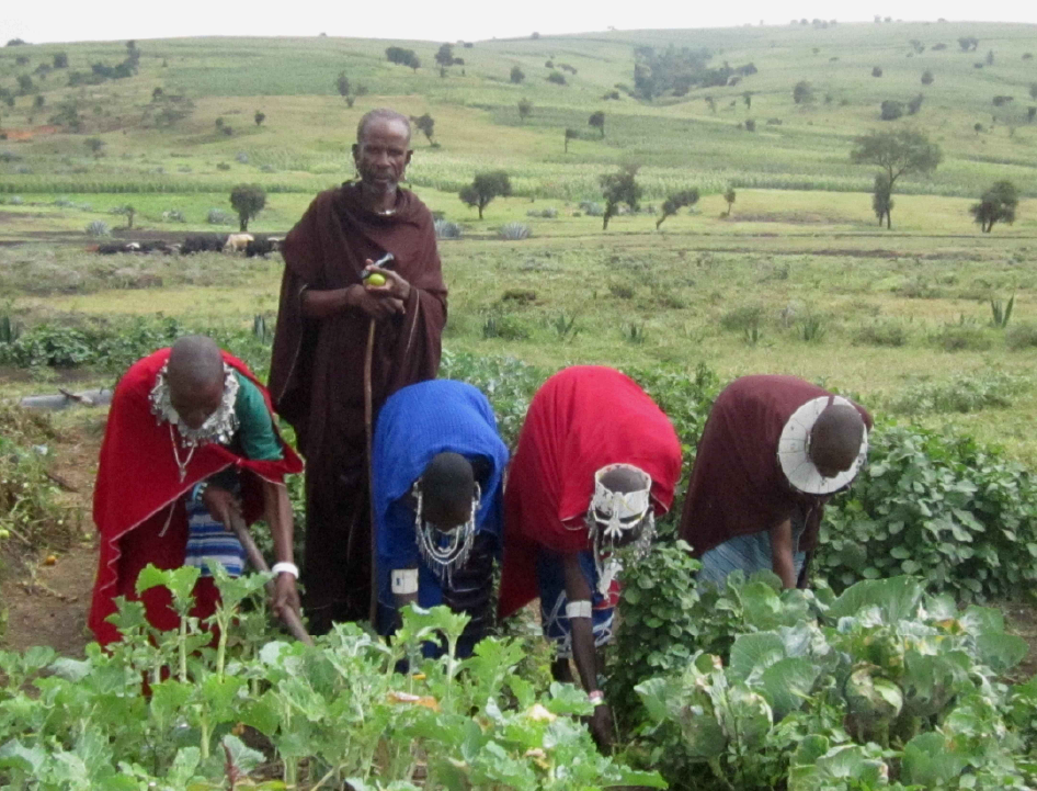 Photo of Raingot Kabuti.